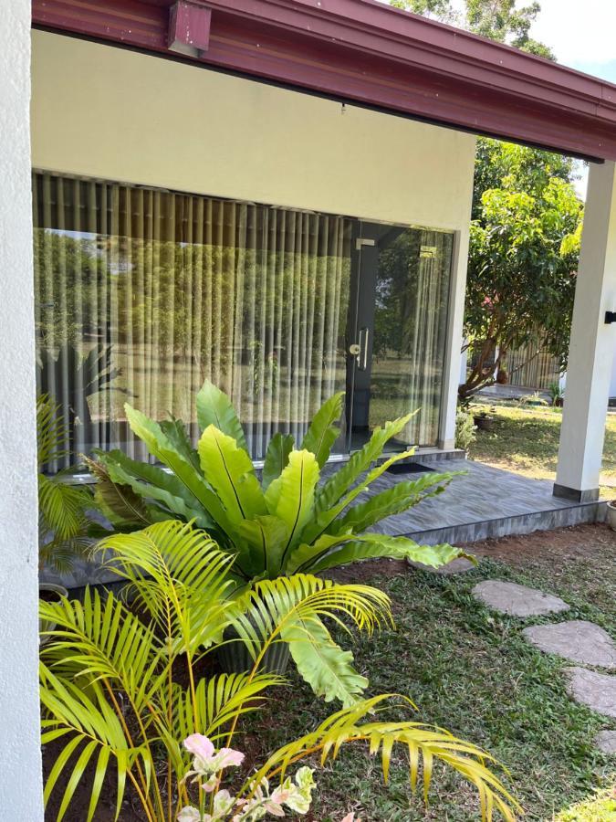 Nature Resort Polonnaruwa Exteriér fotografie