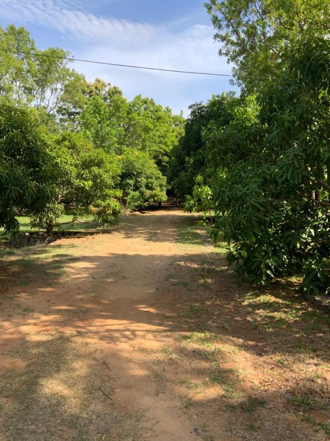 Nature Resort Polonnaruwa Exteriér fotografie