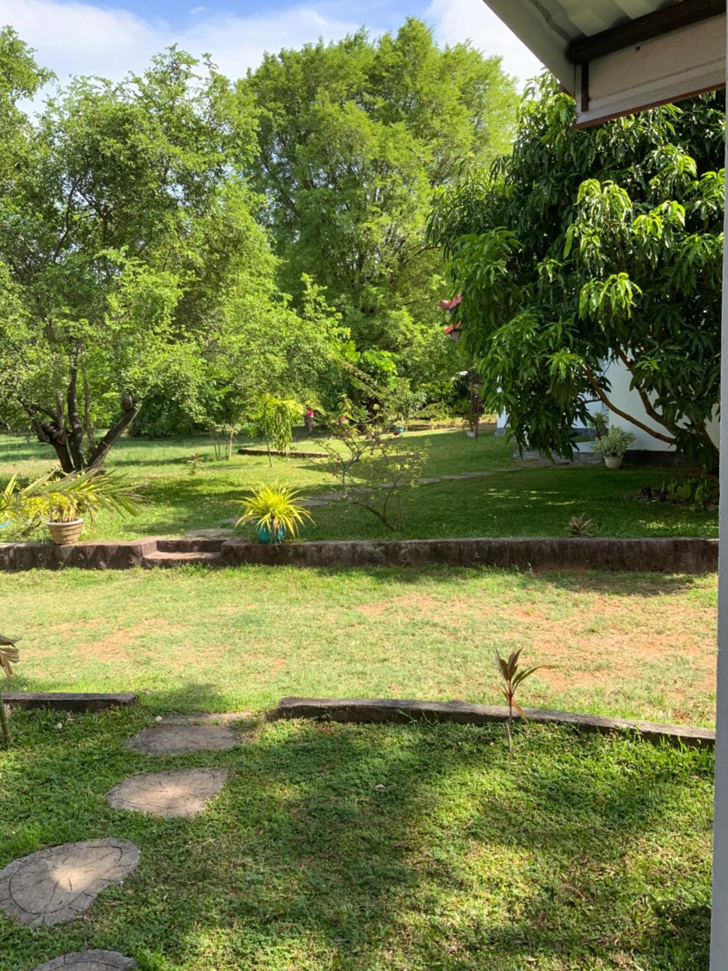Nature Resort Polonnaruwa Exteriér fotografie