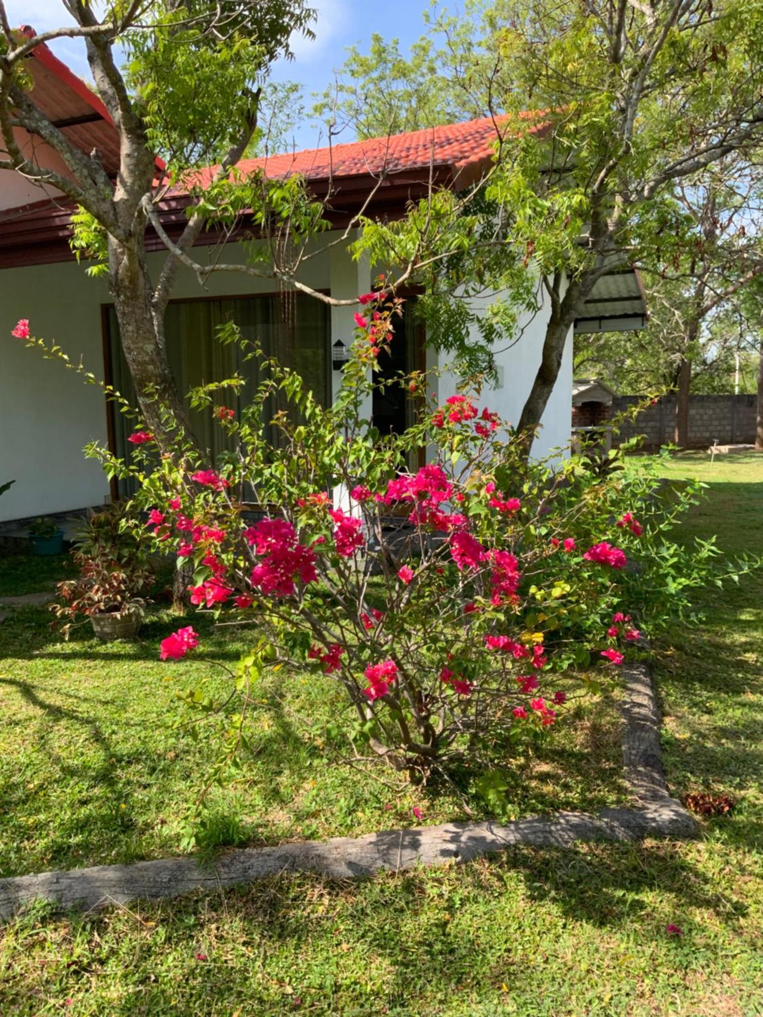 Nature Resort Polonnaruwa Exteriér fotografie